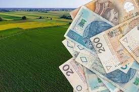 Obraz pola obok kilku banknotów euro na boku