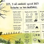 Ręcznie rysowany obraz pola z informacjami o przedmiocie